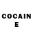 COCAIN Fish Scale Deeanna Windsor