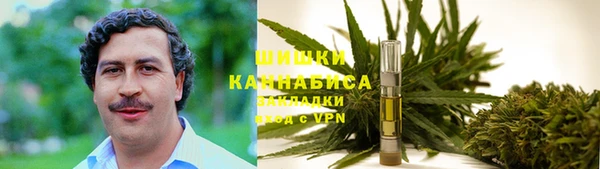 гашик Сафоново