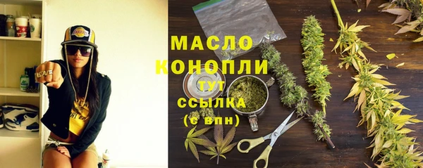 твердый Чегем