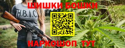 шишки Будённовск