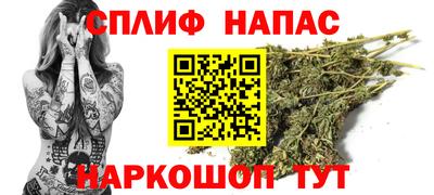 шишки Будённовск