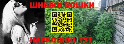шишки Будённовск