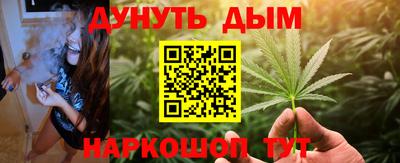 шишки Будённовск