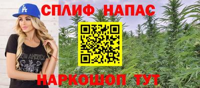шишки Будённовск