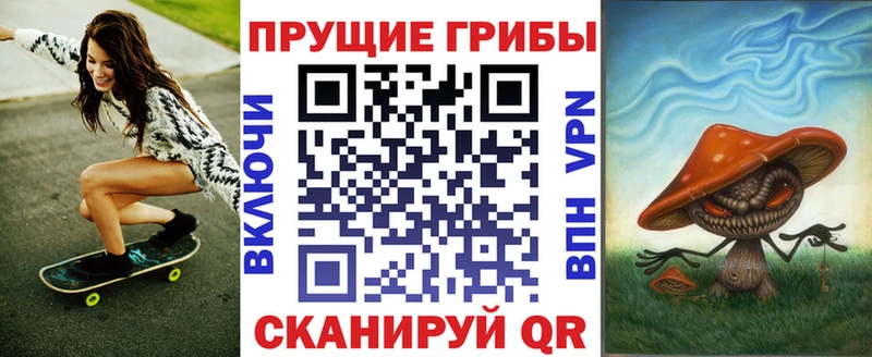 купить наркотики цена  Долгопрудный  Псилоцибиновые грибы мицелий 