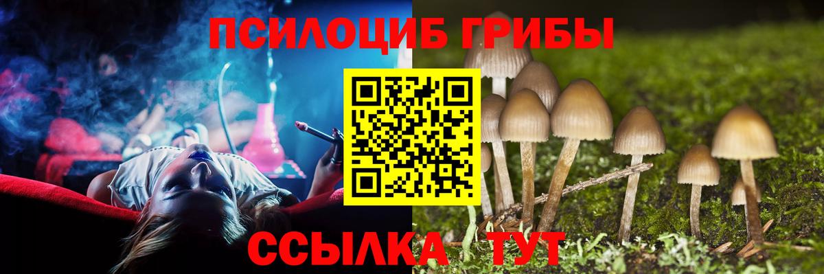 Псилоцибиновые грибы Psilocybe  магазин  наркотиков  Галлюциногенные грибы MAGIC MUSHROOMS  Долгопрудный 