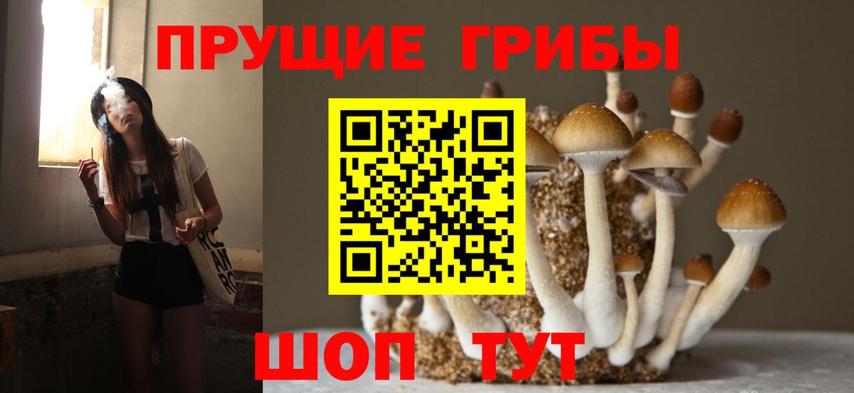 Галлюциногенные грибы Psilocybine cubensis  Вход с VPN  Долгопрудный  Галлюциногенные грибы Magic Shrooms 